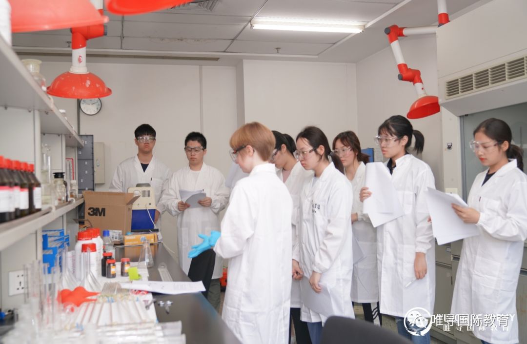 从113位牛剑录取者的申请背景，看知名大学录取的真正要求！