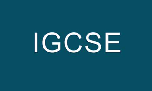 IGCSE历史怎么学 快快收藏这篇学习攻略