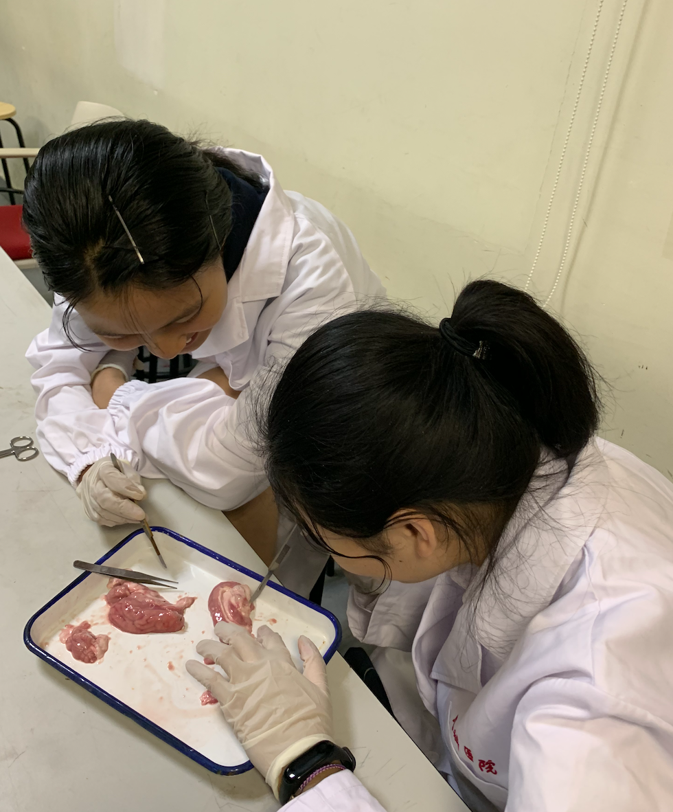 【2020届DP学子风采录】用显微镜看世界——从渺小细胞到漫漫人生图片_2147483647 【2020届DP学子风采录】用显微镜看世界——从渺小细胞到漫漫人生图片_2147483647