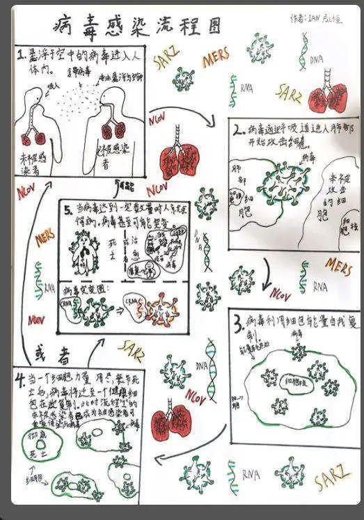EMW Student Works on Fighting Against Novel Virus 以爱之名 同心战疫图片_3 EMW Student Works on Fighting Against Novel Virus 以爱之名 同心战疫图片_3