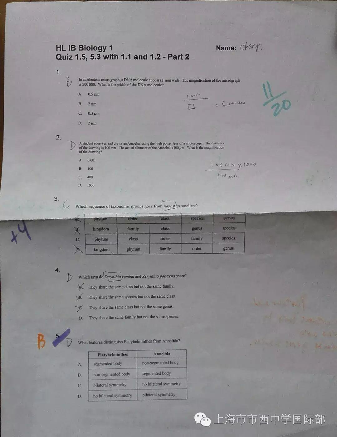 VVS的生活小Tips图片_33554431 VVS的生活小Tips图片_33554431
