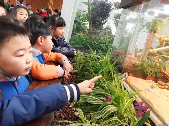 【博物课堂】开启自然的百宝箱图片_1023 【博物课堂】开启自然的百宝箱图片_1023