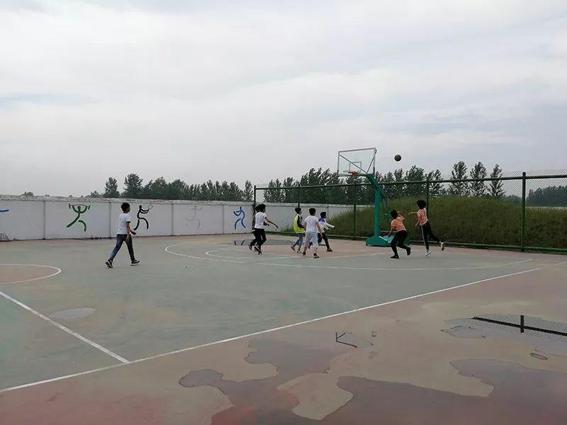 简单快乐 温暖感动——这是一次难舍的相遇图片_2097151 简单快乐 温暖感动——这是一次难舍的相遇图片_2097151