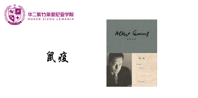 提升文化认知，培养家国情怀 | 探寻华二紫竹莱蒙尼亚学院中文课的意义图片_15