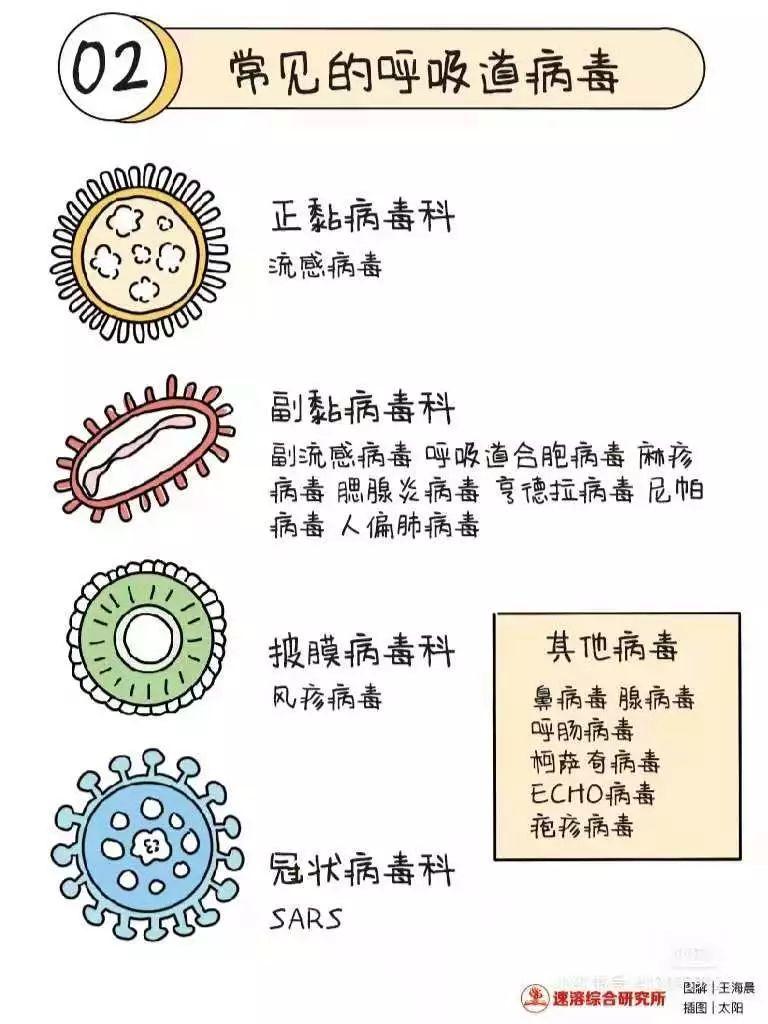 关于新型冠状病毒的小知识及倡议书图片_3 关于新型冠状病毒的小知识及倡议书图片_3