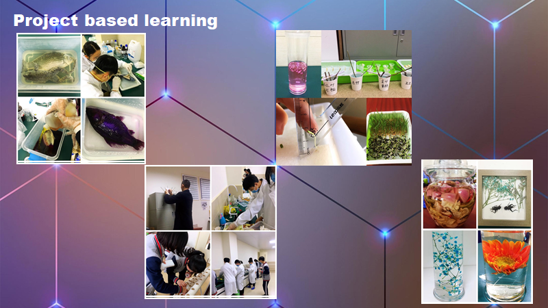 Growth Mindset成长型思维 | 尚德融合部学习社区“云上工作坊”图片_17592186044415 Growth Mindset成长型思维 | 尚德融合部学习社区“云上工作坊”图片_17592186044415