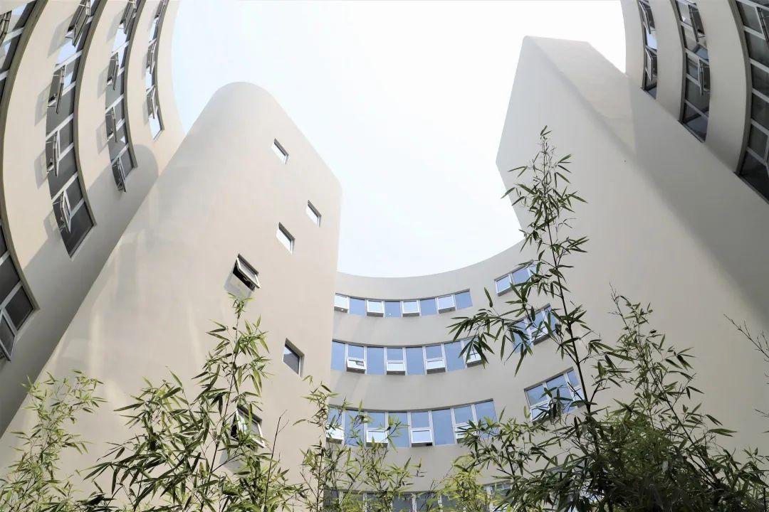 上海青浦平和双语学校云开放合集图片_255