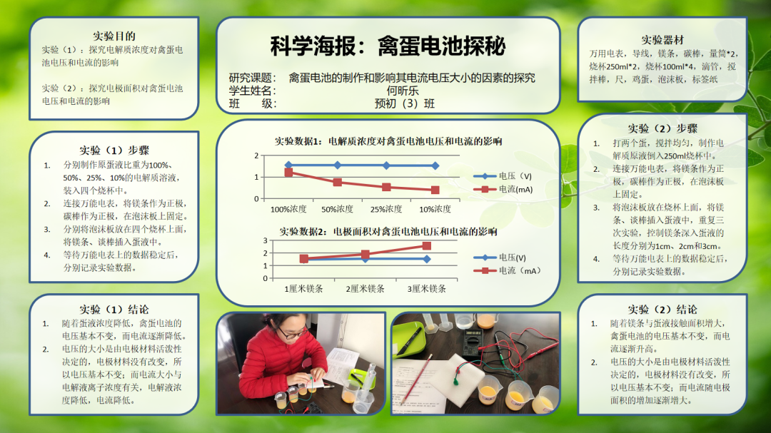 课程 | 六年级科创班学习——《禽蛋电池》图片_1048575 课程 | 六年级科创班学习——《禽蛋电池》图片_1048575