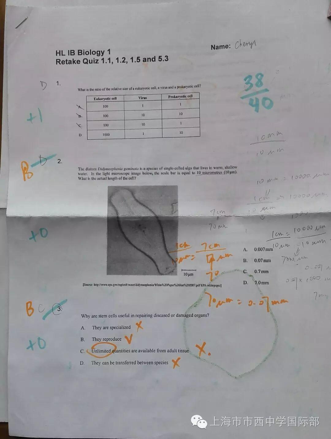 VVS的生活小Tips图片_67108863 VVS的生活小Tips图片_67108863