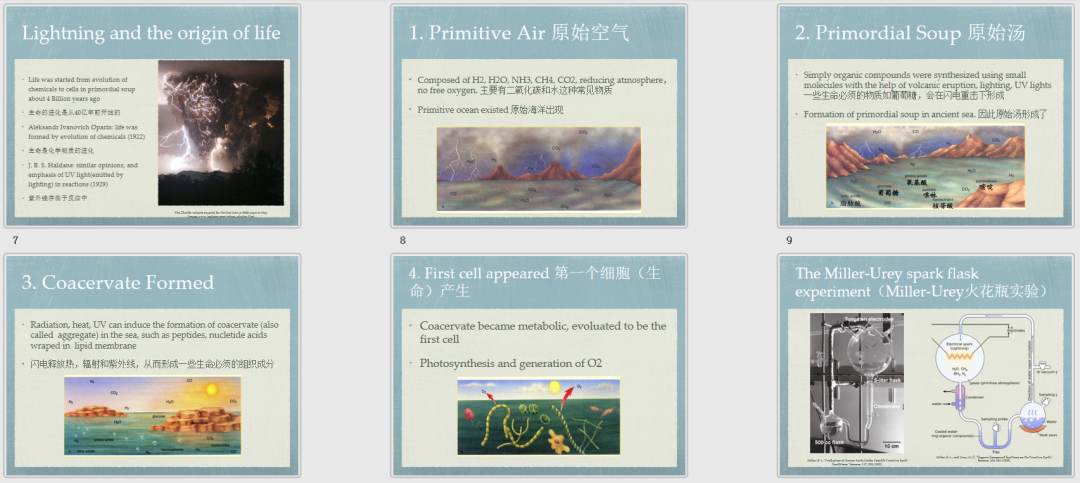 今夏新品“科学微课堂” | 尚德融合部IBDP Group 4科学展图片_131071 今夏新品“科学微课堂” | 尚德融合部IBDP Group 4科学展图片_131071