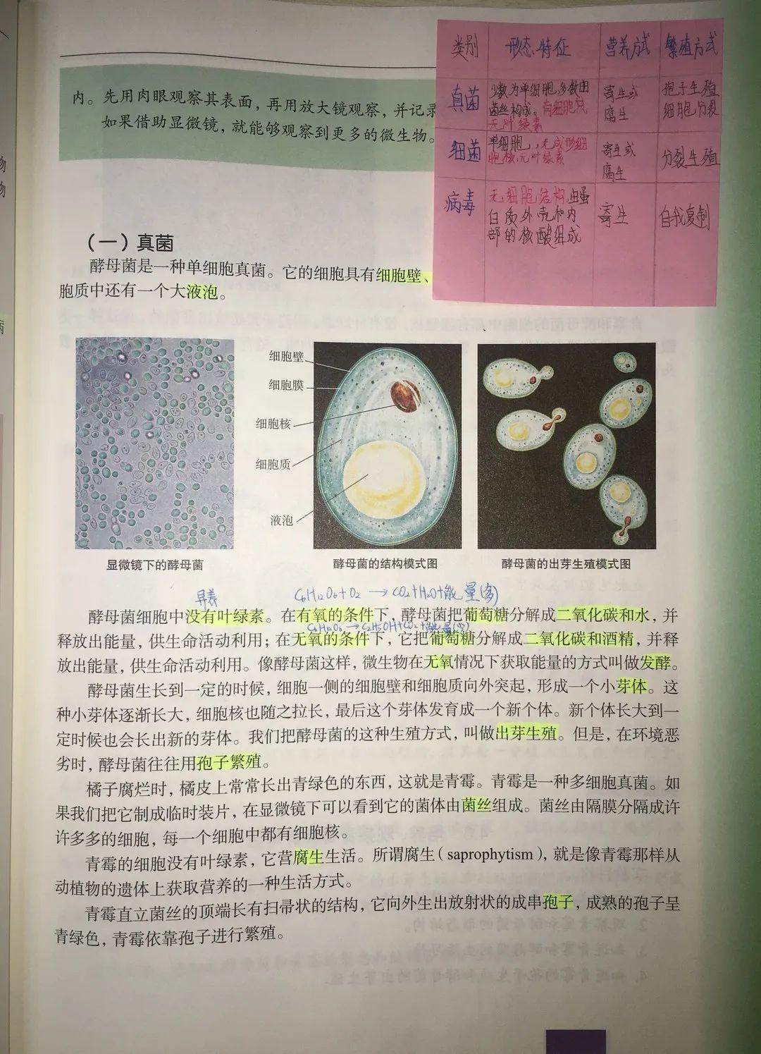 表彰 | 优秀线上学习者表彰（一）图片_10141204801825835211973625643007
