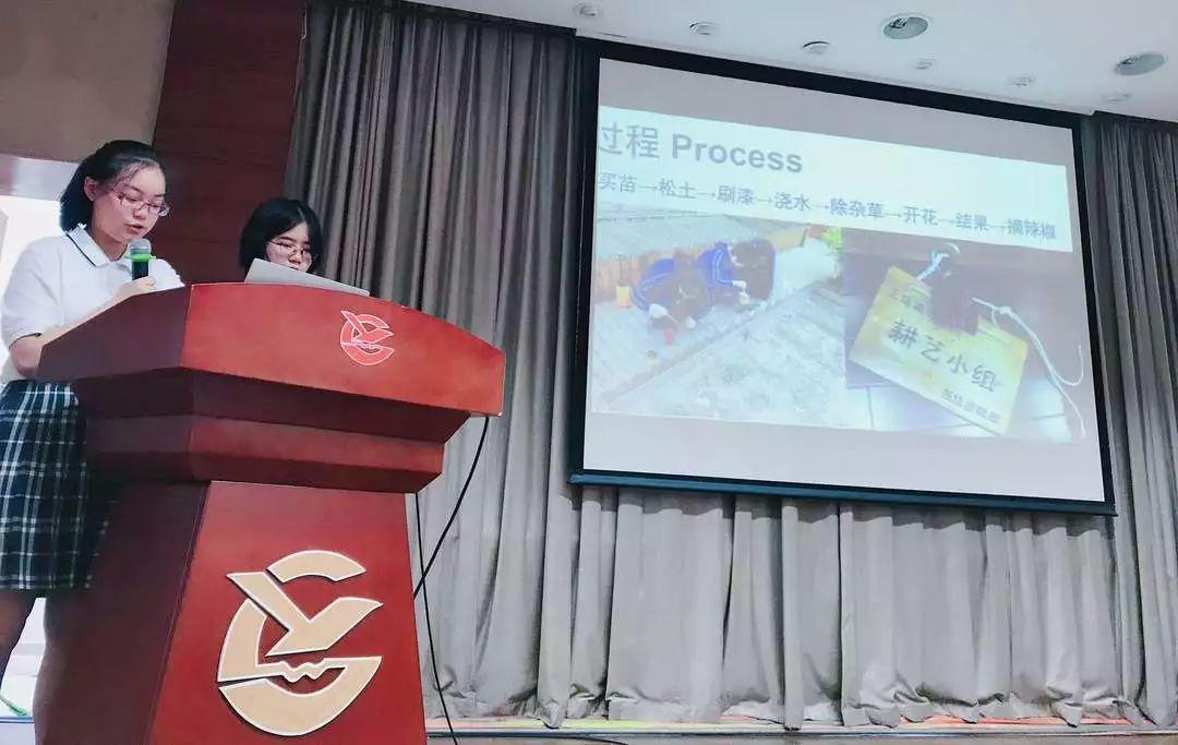 打破坚冰,同心而行 | 记西南位育中学国际部破冰活动2图片_65535 打破坚冰,同心而行 | 记西南位育中学国际部破冰活动2图片_65535