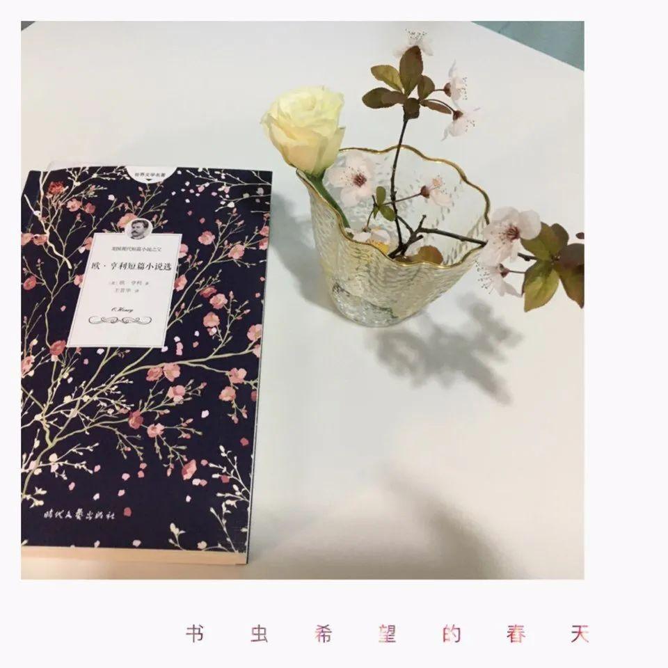 表彰 | 优秀线上学习者表彰(二)图片_41538374868278621028243970633760767 表彰 | 优秀线上学习者表彰(二)图片_41538374868278621028243970633760767