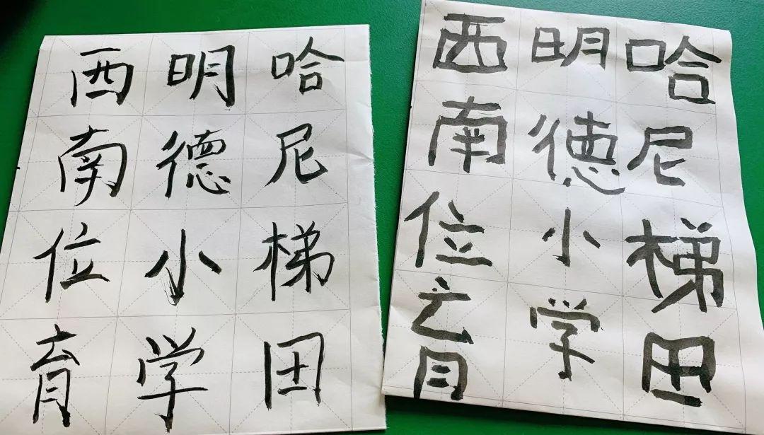 为爱守护,益行青春 | 记西南位育中学国际部2019学年元阳公益行助学活动 4图片_7 为爱守护,益行青春 | 记西南位育中学国际部2019学年元阳公益行助学活动 4图片_7