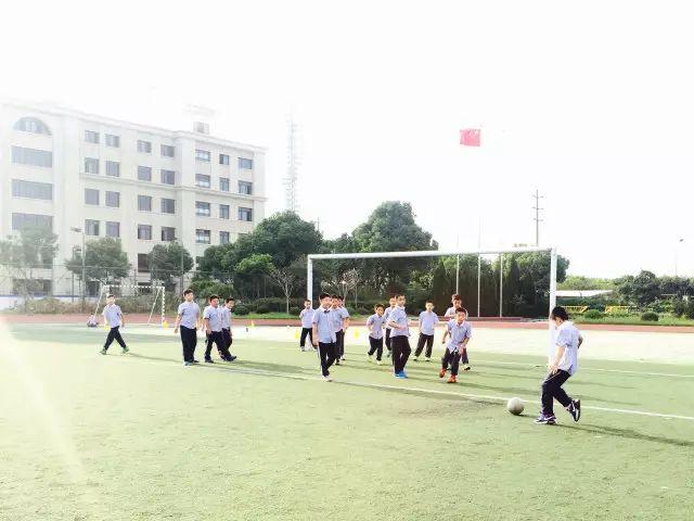 Touching the World Here——国际部PYP社团一览图片_72057594037927935