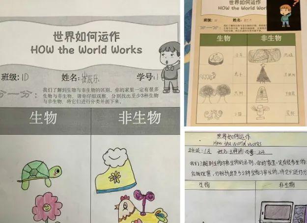 “云上的日子”｜做一名自信独立的学习者图片_262143