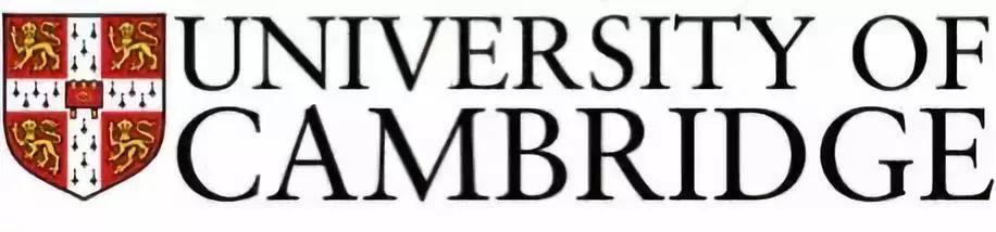 SUIS GUBEI 2019 UNIVERSITY FAIR 古北校区2019大学展图片_7
