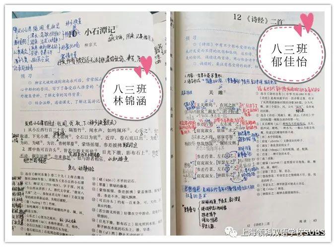 你的优秀有“记”可寻——领科双语学子课堂笔记大赏图片_8191