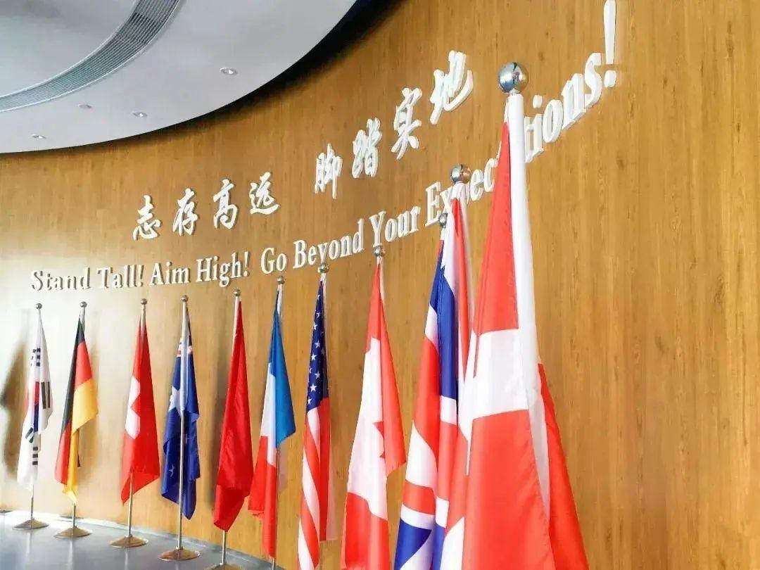 NAISer故事 | 10余年的爱好坚守，让他通向纽大专业之路！图片_127