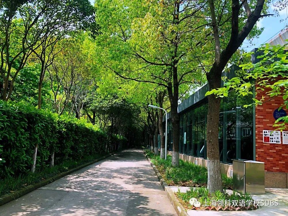 盼望着，盼望着 ||《领科双语师生返校开学指南》来了！图片_31