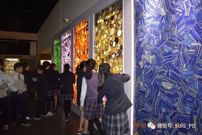 探寻上海东方地质科普馆中的地球奥秘图片_7