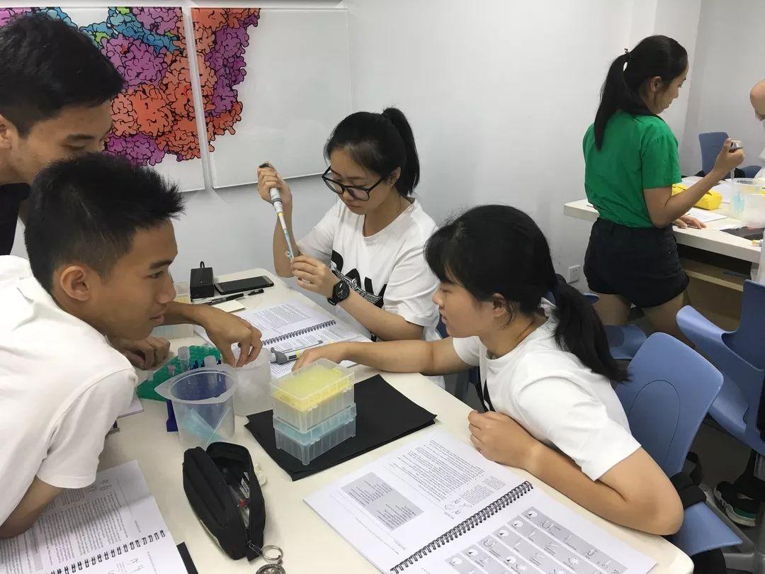暑期回顾 | 记西南位育中学国际部师生与未来的一场对话图片_15 暑期回顾 | 记西南位育中学国际部师生与未来的一场对话图片_15