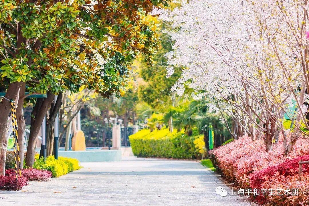 「今晚直播」春暖花开，音为有你图片_3