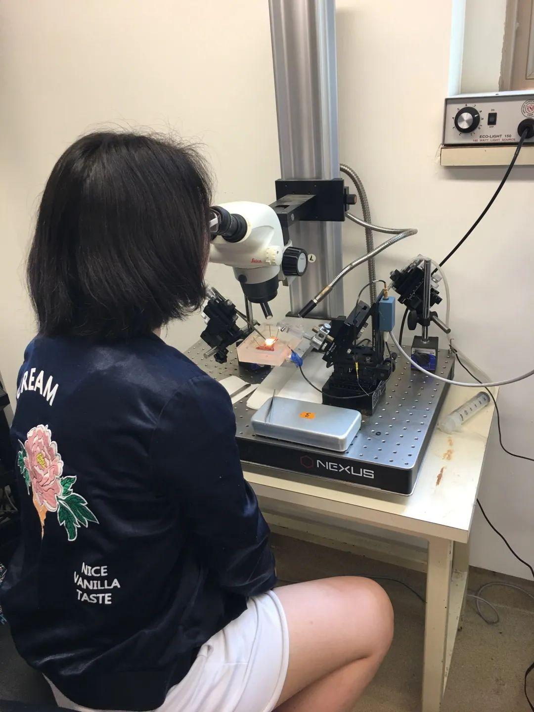 【2020届DP学子风采录】用显微镜看世界——从渺小细胞到漫漫人生图片_134217727 【2020届DP学子风采录】用显微镜看世界——从渺小细胞到漫漫人生图片_134217727