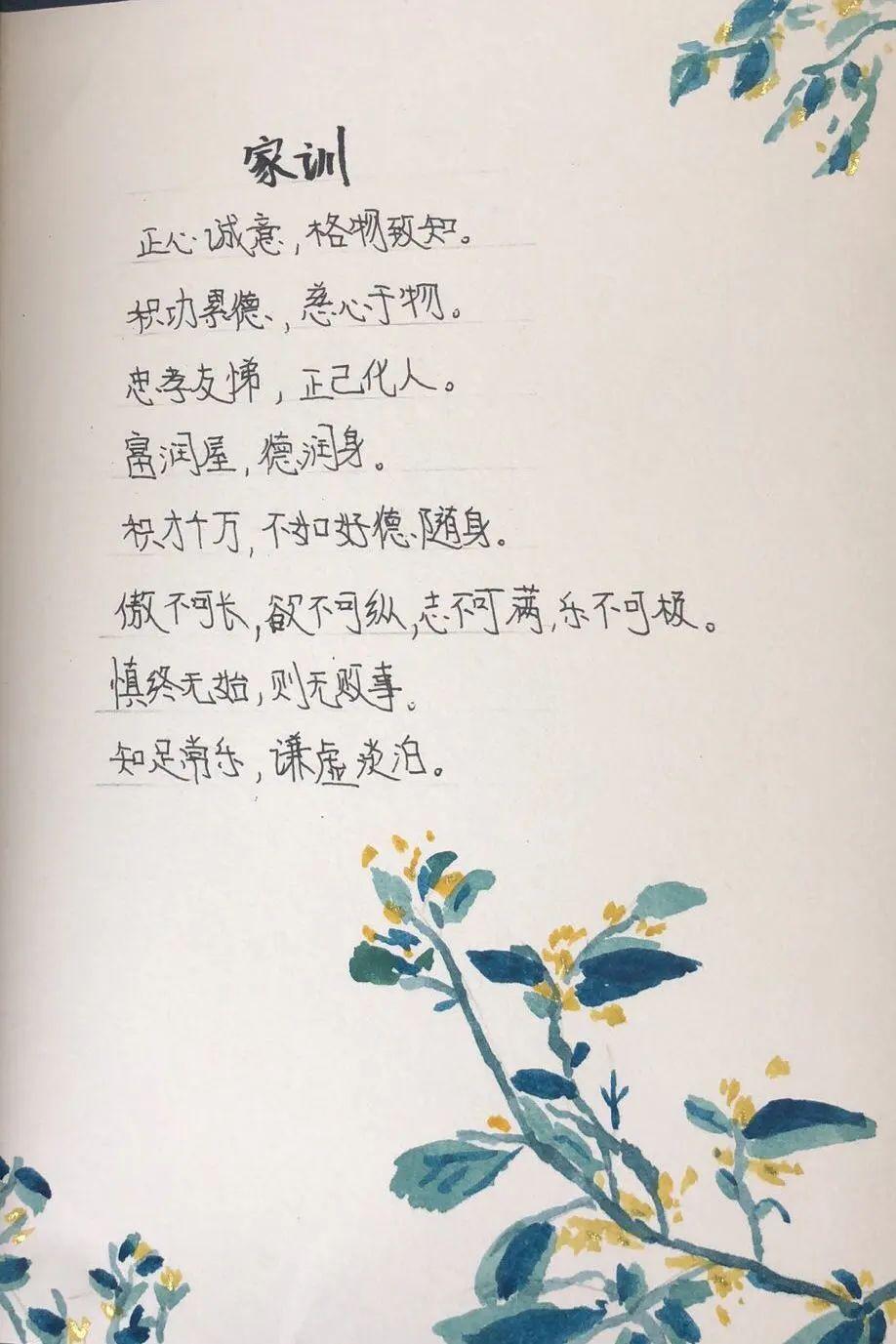 悦目临窗校长日记|毕业课程之“我的家谱”图片_33554431 悦目临窗校长日记|毕业课程之“我的家谱”图片_33554431