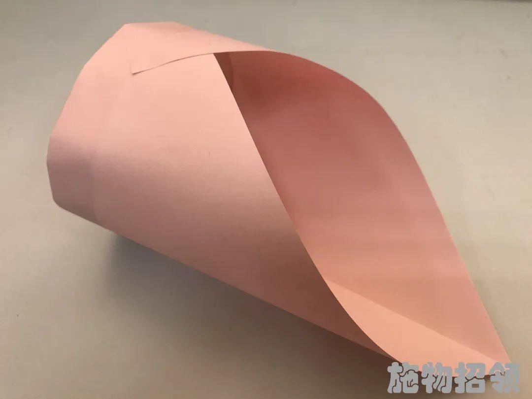 【施物招领】少年，你想做“飞猪”吗？图片_549755813887