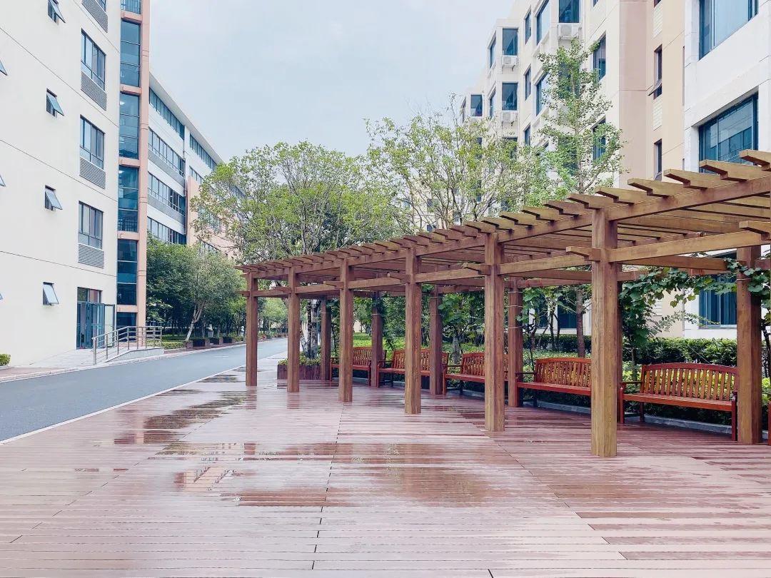 风淅淅，雨纤纤——记尚德校园不期而遇的温暖图片_127