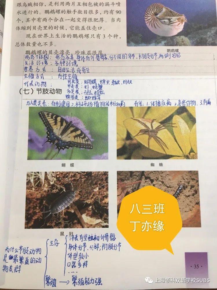 你的优秀有“记”可寻——领科双语学子课堂笔记大赏图片_1152921504606846975 你的优秀有“记”可寻——领科双语学子课堂笔记大赏图片_1152921504606846975