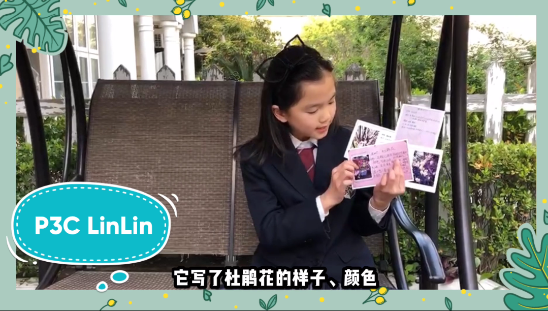 艺术“音”你而“美”,世界因我们更精彩 | The Second Semester 2019-2020 SUIS TV Ⅵ图片_2147483647 艺术“音”你而“美”,世界因我们更精彩 | The Second Semester 2019-2020 SUIS TV Ⅵ图片_2147483647