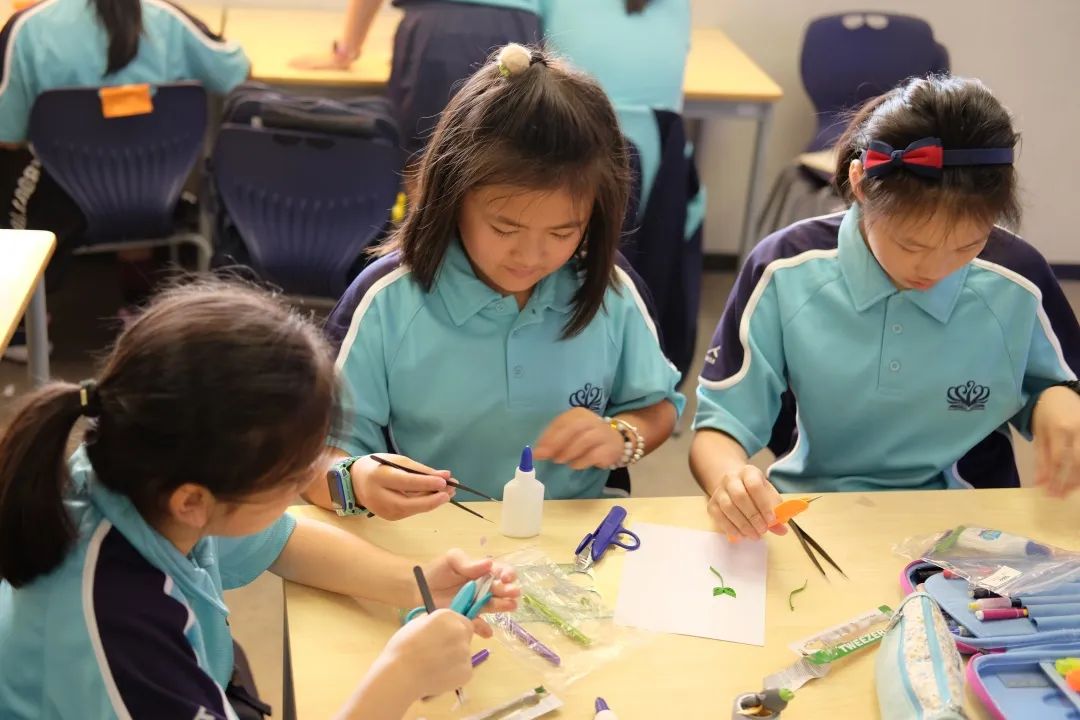 诺德安达学子的成功之路 NAE Students achieve pathways to global success图片_31 诺德安达学子的成功之路 NAE Students achieve pathways to global success图片_31