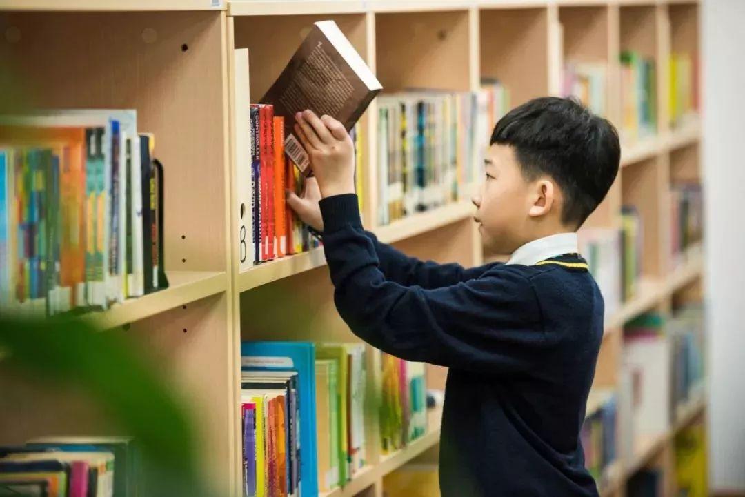 2019 Summer reading list图片_1