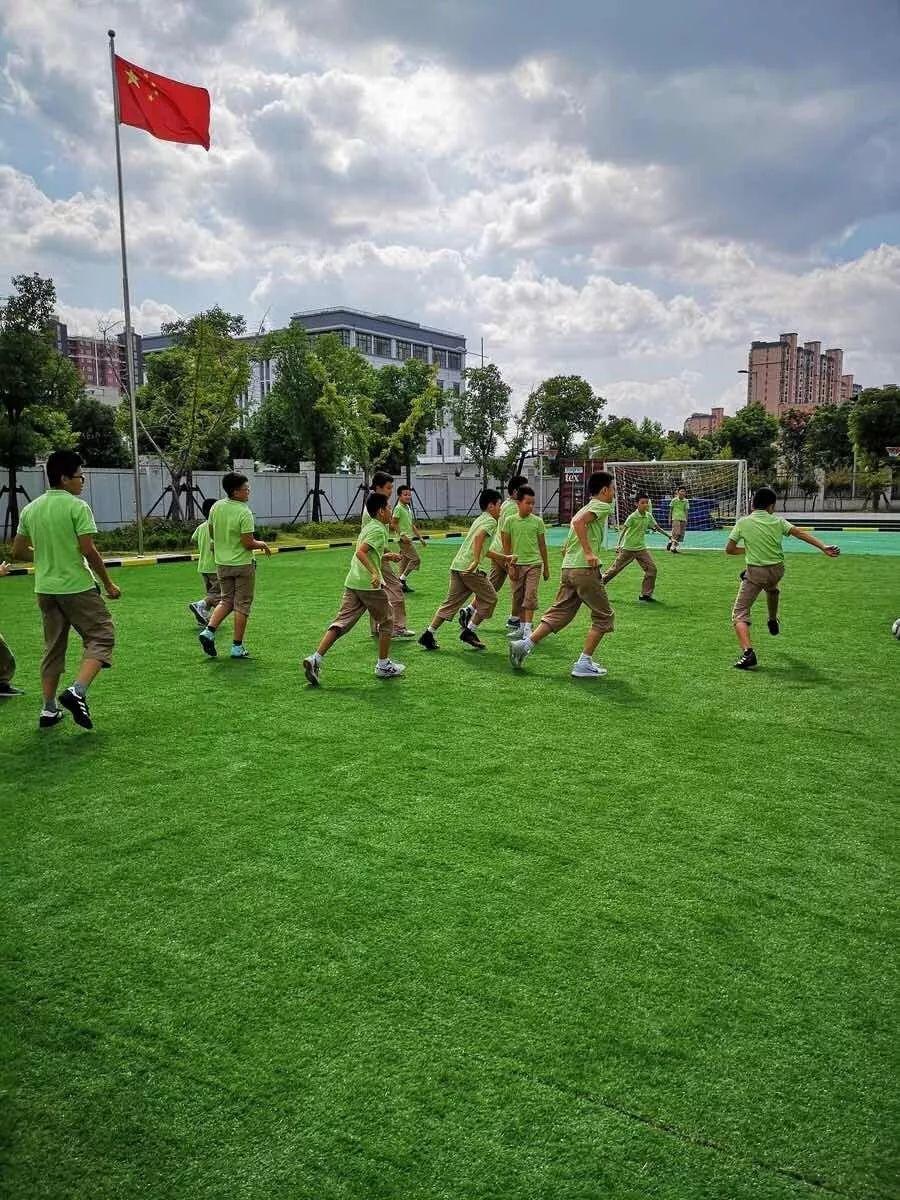 这所"超级学校"斩获藤校大满贯，如何做到的？为此，我们采访了青浦平和校长...图片_1023