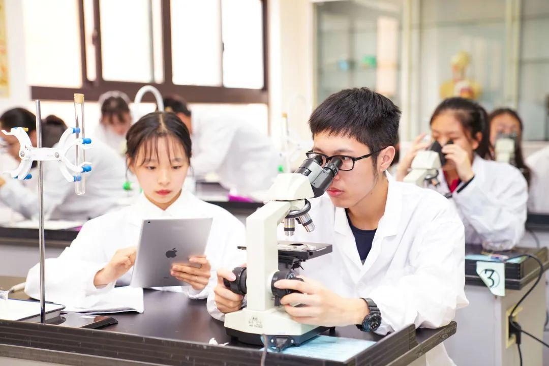 上海星河湾双语学校网上开放日--学校介绍图片_2047