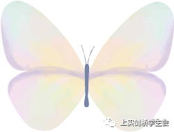 见信如晤 — 梦开始的地方图片_31 见信如晤 — 梦开始的地方图片_31