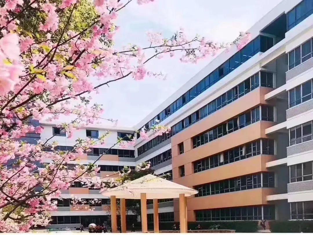 “春天就在不远处”——尚德实验学校线上升旗仪式图片_4611686018427387903