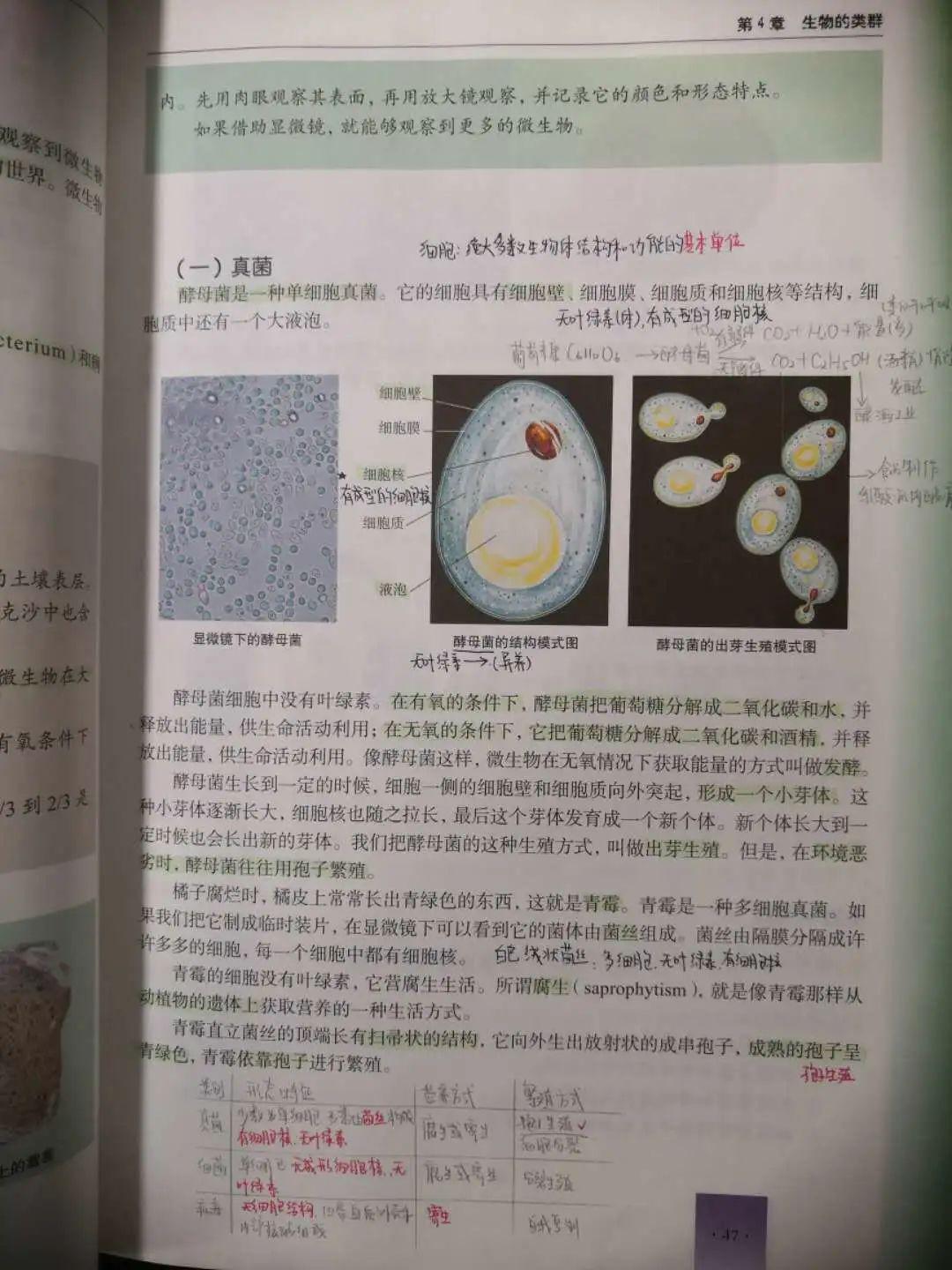 表彰 | 优秀线上学习者表彰（一）图片_151115727451828646838271
