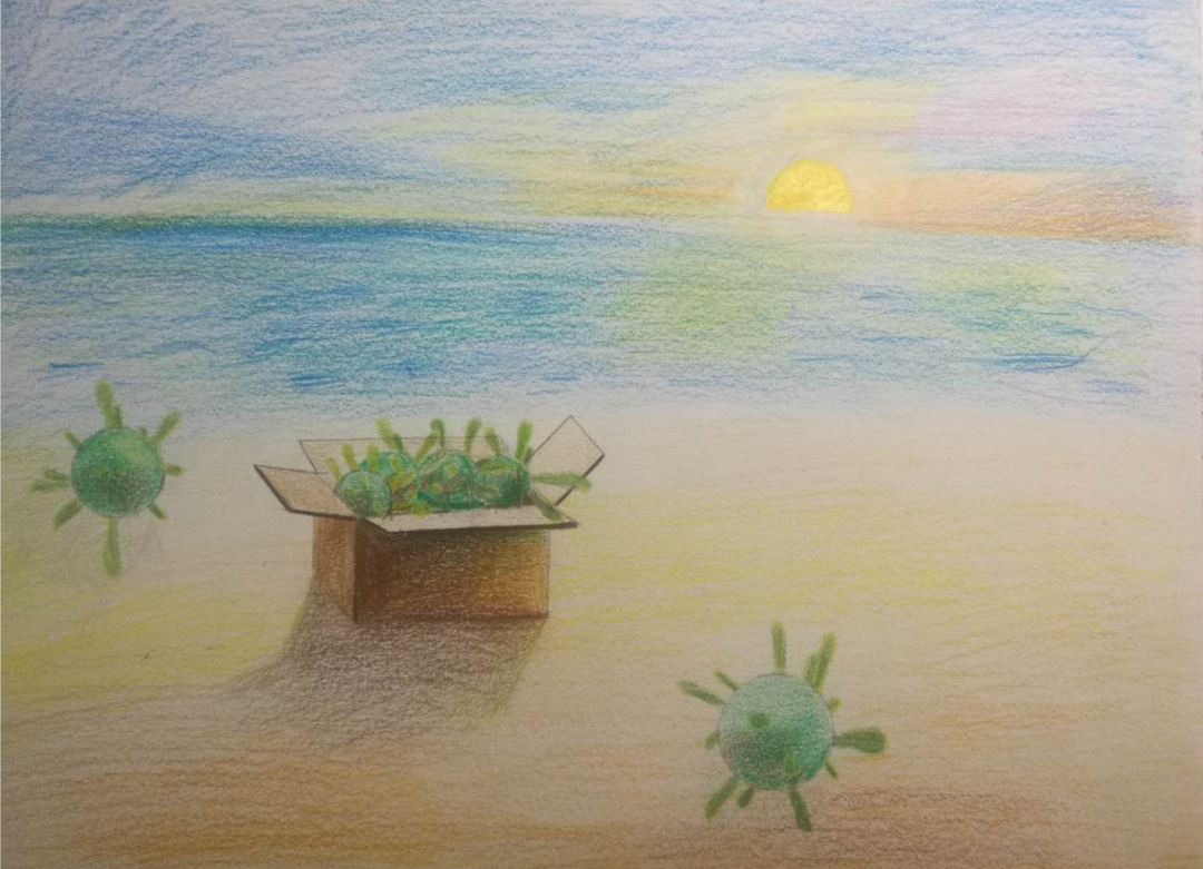 协和万源初中部线上艺术展 SUIS Middle School Online Art Exhibition图片_67108863 协和万源初中部线上艺术展 SUIS Middle School Online Art Exhibition图片_67108863