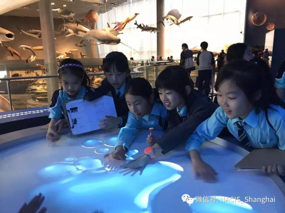 小学部丰富多彩的秋游 Primary Autumn Trips图片_4095 小学部丰富多彩的秋游 Primary Autumn Trips图片_4095