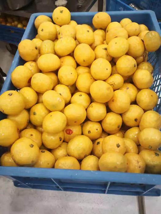 食品安全 心系万人图片_31