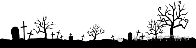 VVS的生活小Tips图片_281474976710655 VVS的生活小Tips图片_281474976710655