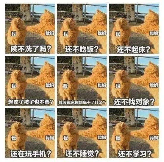 爸爸妈妈，这几句话请常对我说图片_7