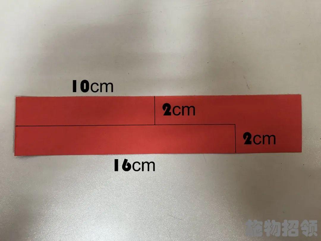 【施物招领】少年，你想做“飞猪”吗？图片_33554431