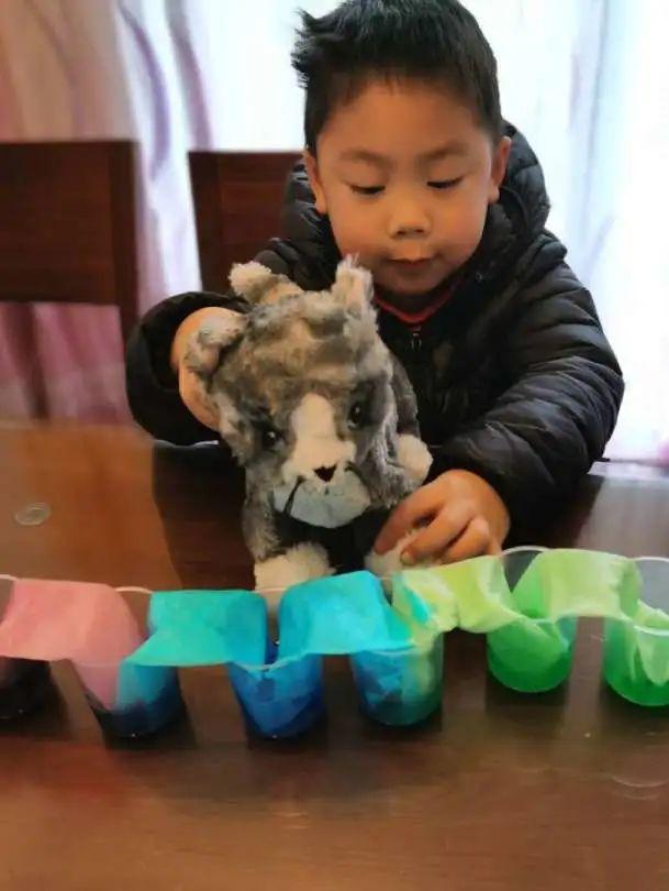 DTD绘本阅读者(第四十五期)图片_15 DTD绘本阅读者(第四十五期)图片_15