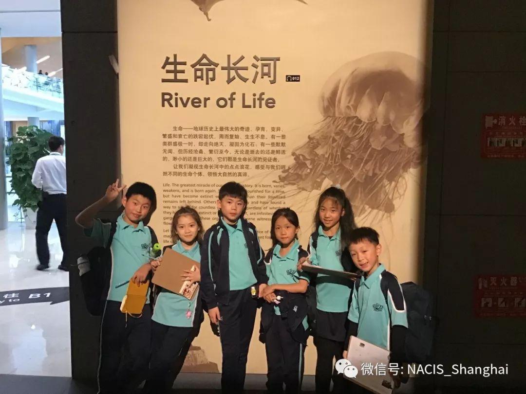 小学部丰富多彩的秋游 Primary Autumn Trips图片_511 小学部丰富多彩的秋游 Primary Autumn Trips图片_511