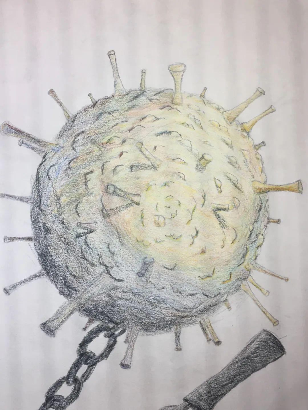 协和万源初中部线上艺术展 SUIS Middle School Online Art Exhibition图片_268435455 协和万源初中部线上艺术展 SUIS Middle School Online Art Exhibition图片_268435455