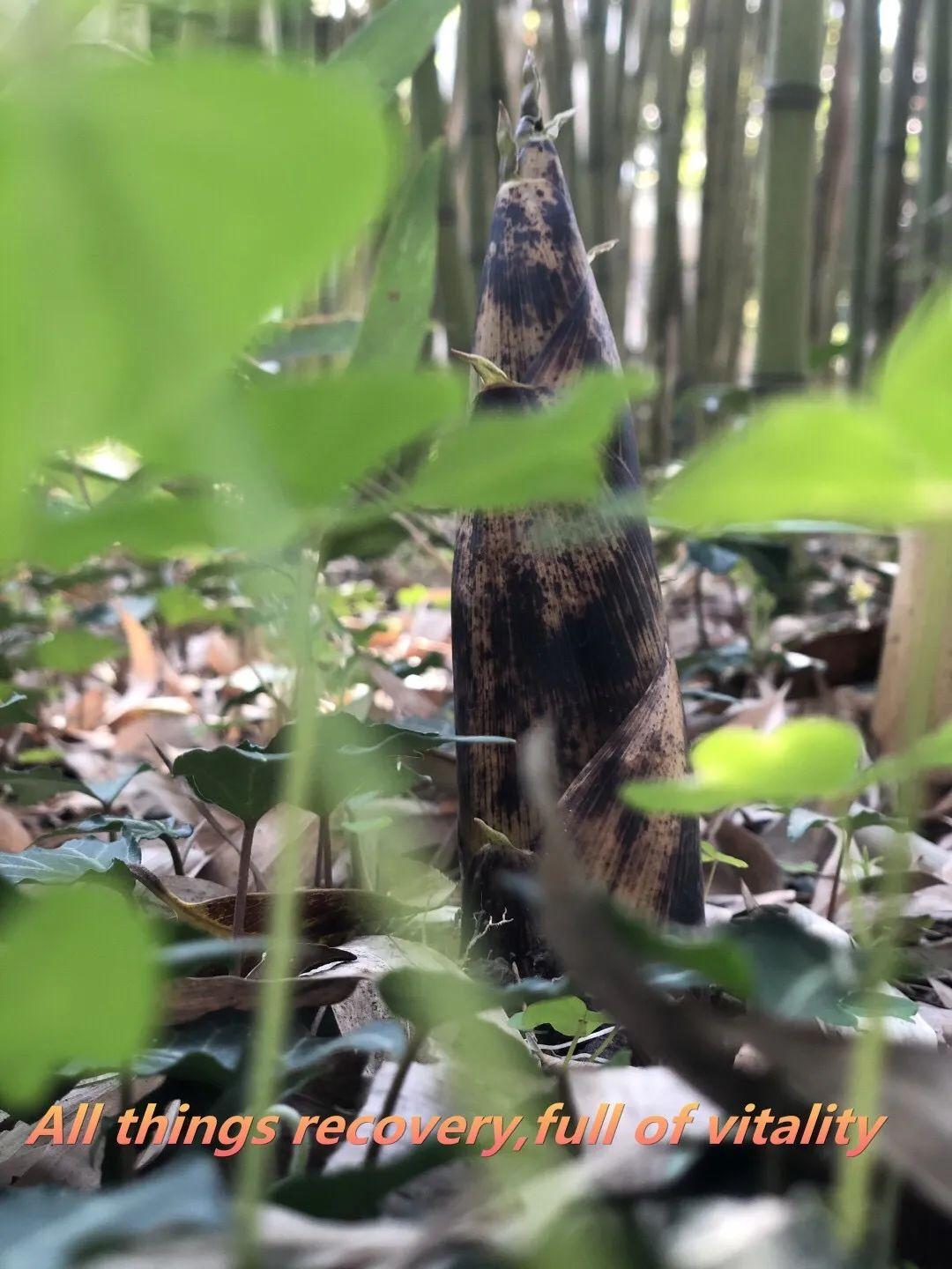 表彰 | 优秀线上学习者表彰(二)图片_2596148429267413814265248164610047 表彰 | 优秀线上学习者表彰(二)图片_2596148429267413814265248164610047